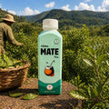 Yerba Mate Tea